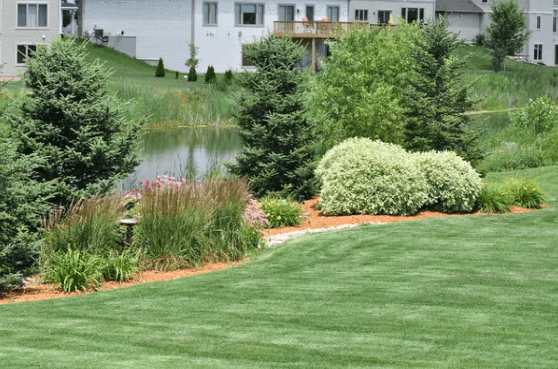 Sod from Monticello Mulch in Palmyra, VA